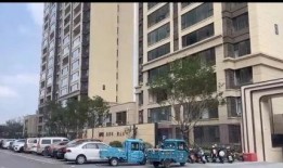 温岭一小区爆料新闻,业主爆料惊心动魄一幕